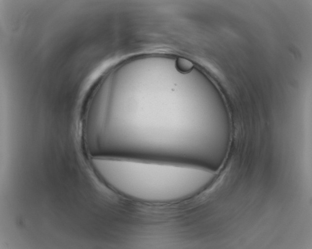 X0000115501414200911061013