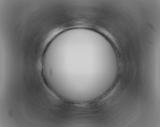 X0000115501415200911061013