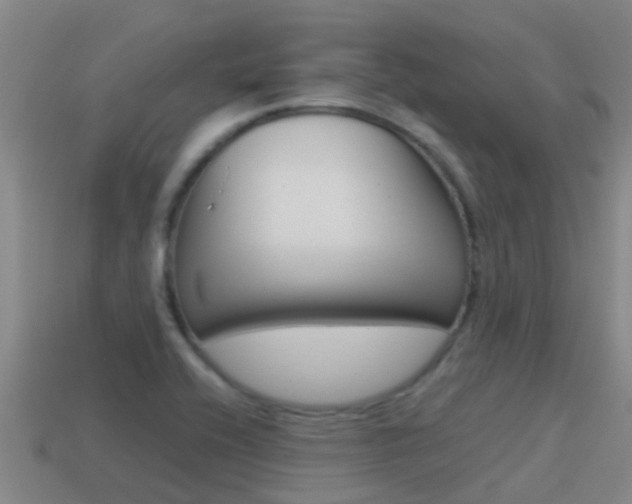 X0000115501416200911061013