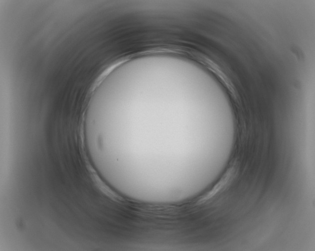 X0000115501417200911061013