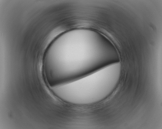 X0000115501418200911061013