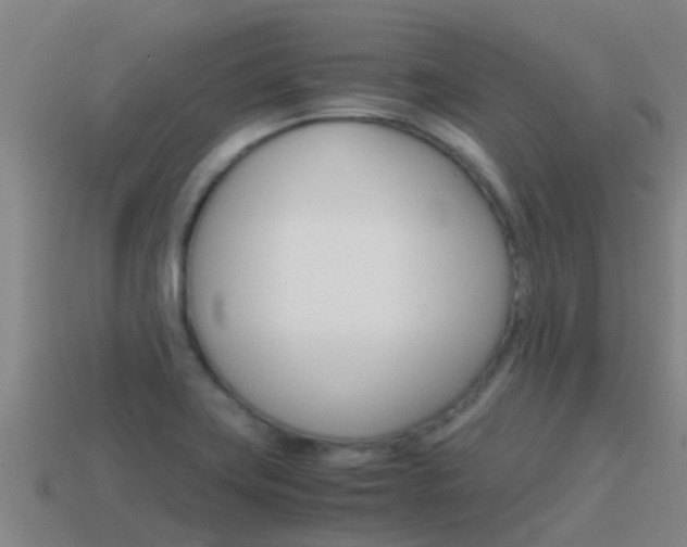 X0000115501419200911061013