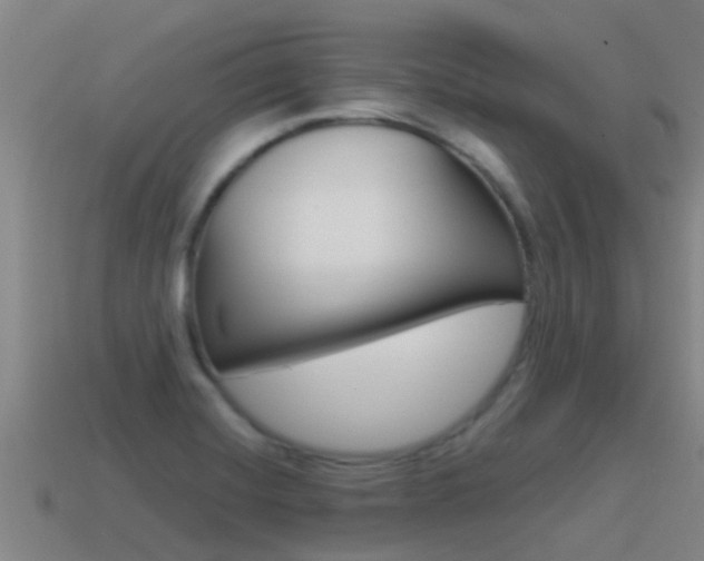 X0000115501420200911061013