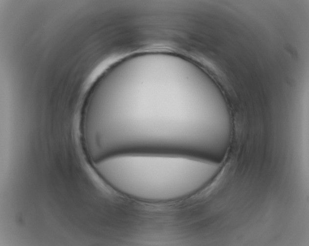 X0000115501422200911061013