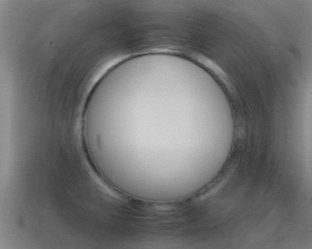 X0000115501423200911061013