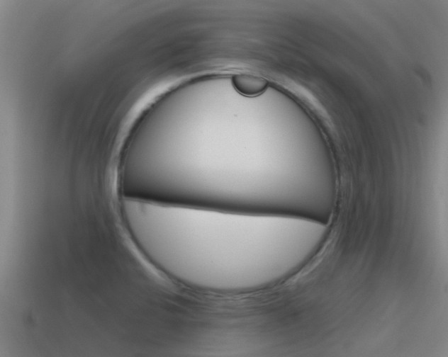 X0000115501424200911061013