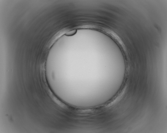 X0000115501425200911061013