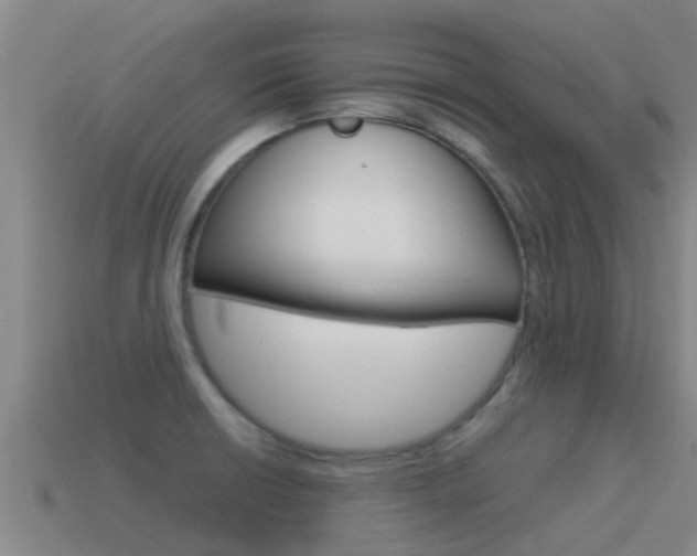 X0000115501426200911061013
