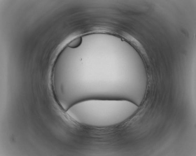 X0000115501427200911061013