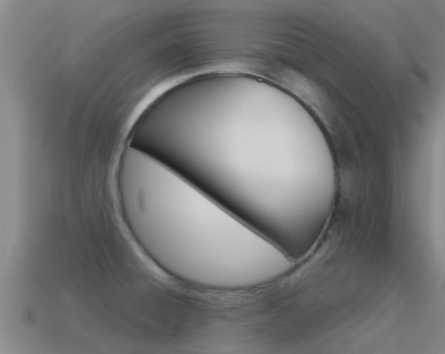 X0000115501428200911061013