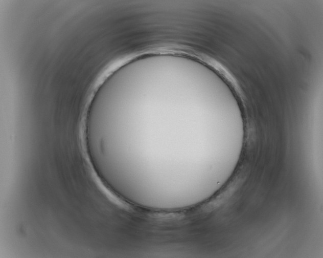 X0000115501429200911061013
