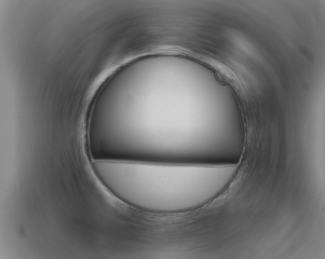 X0000115501430200911061013