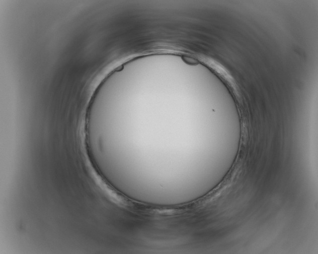 X0000115501431200911061013