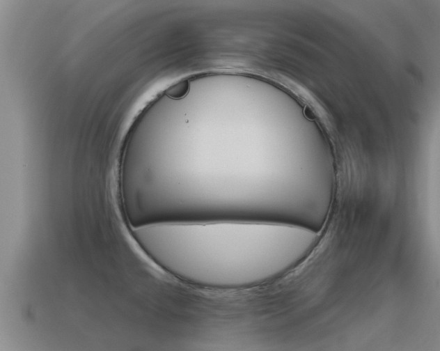 X0000115501432200911061013