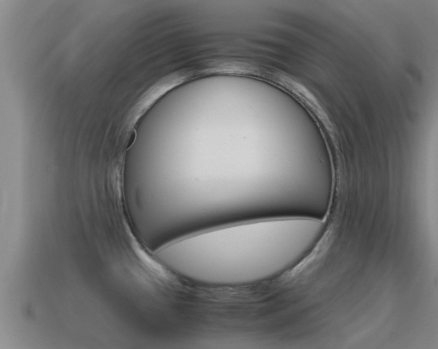 X0000115501433200911061013