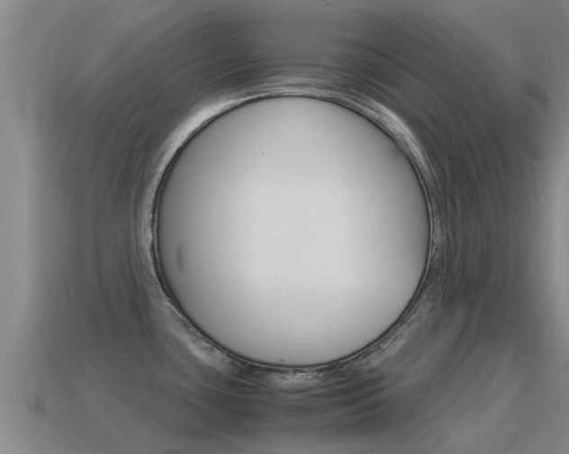 X0000115501435200911061013