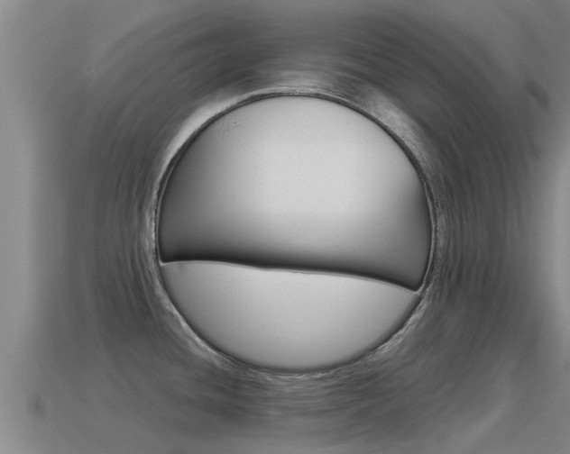 X0000115501436200911061013