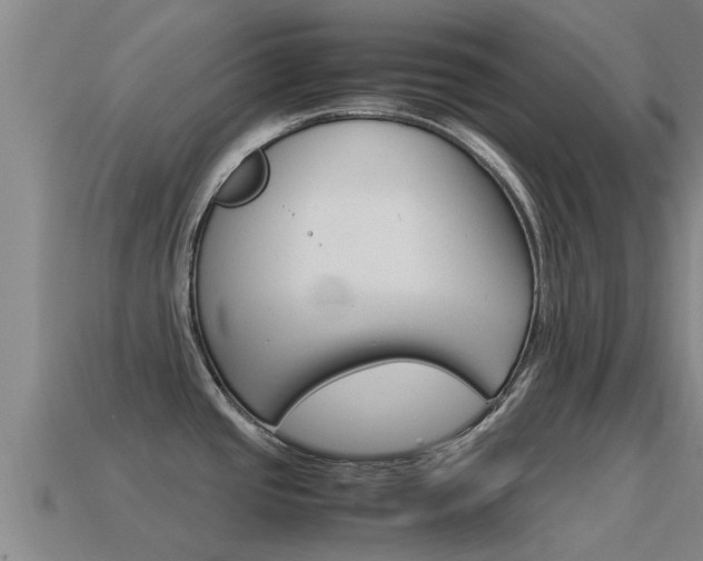 X0000115501437200911061013