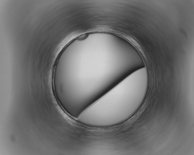 X0000115501438200911061013