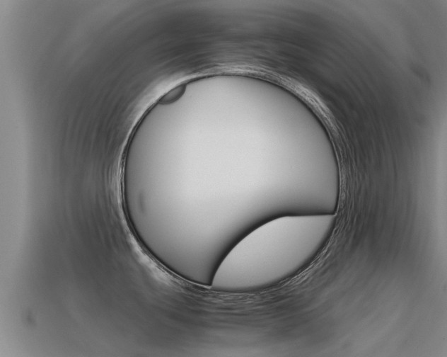 X0000115501439200911061013