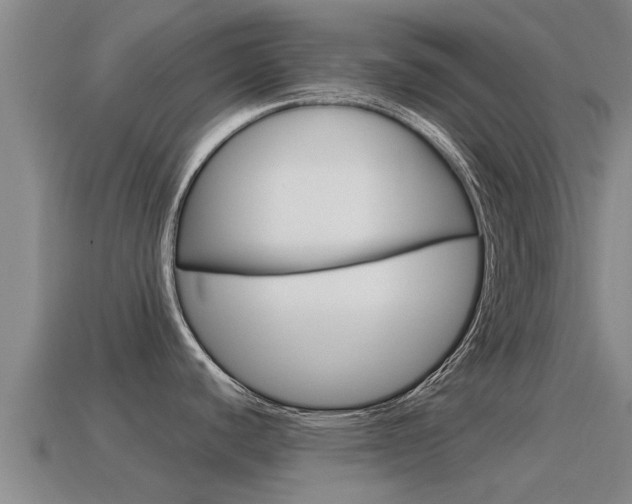X0000115501440200911061013