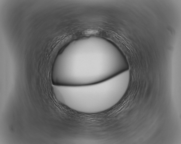 X0000115501441200911061013