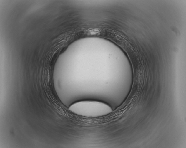 X0000115501442200911061013