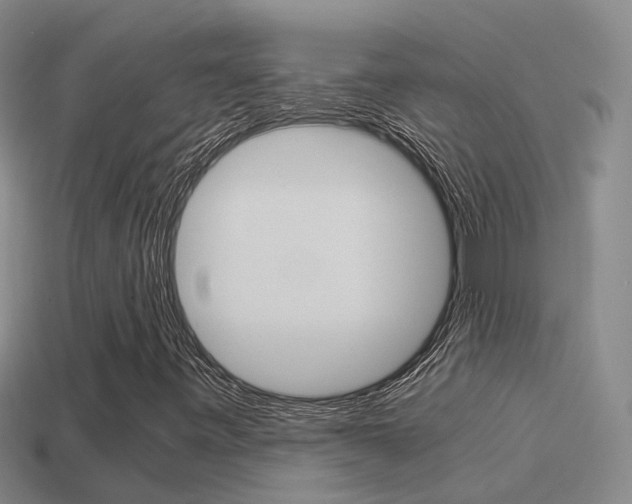 X0000115501443200911061013
