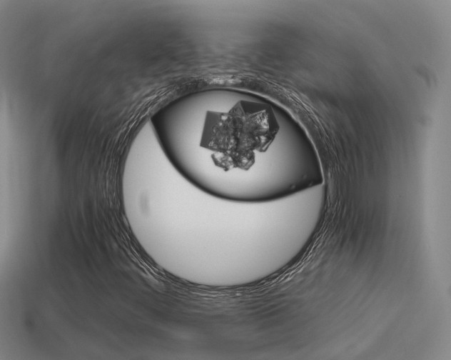 X0000115501444200911061013