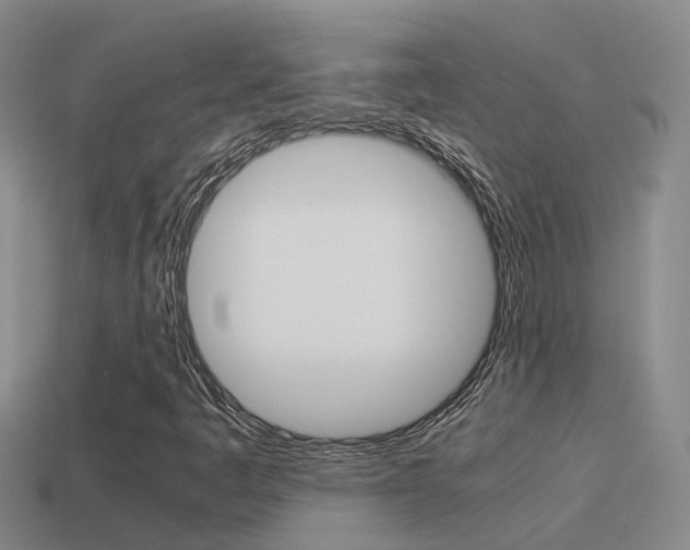X0000115501445200911061013