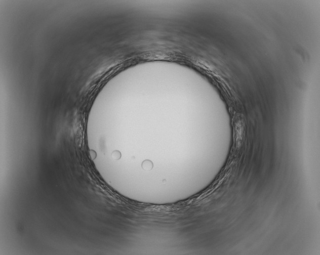 X0000115501446200911061013