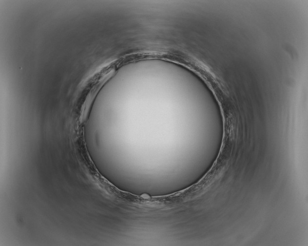 X0000115501448200911061013