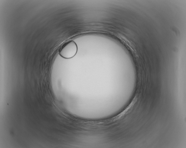X0000115501449200911061013