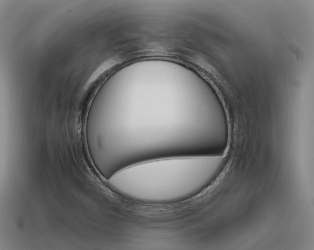 X0000115501450200911061013