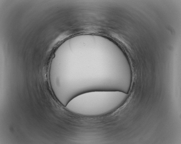 X0000115501451200911061012