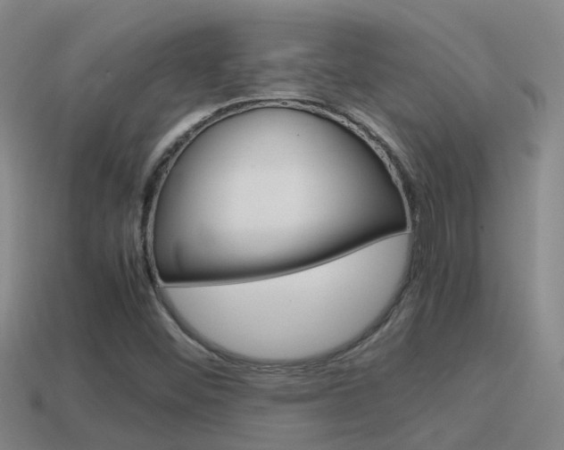 X0000115501452200911061012