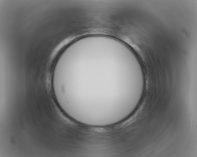X0000115501454200911061012