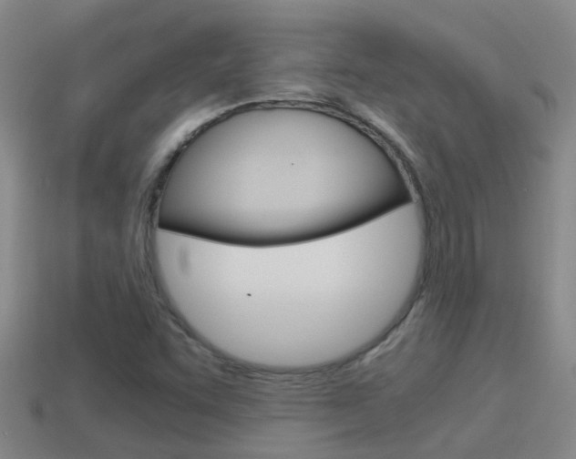 X0000115501455200911061012