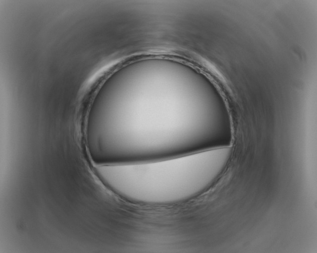 X0000115501456200911061012