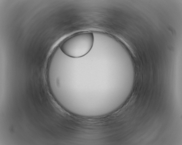 X0000115501460200911061012