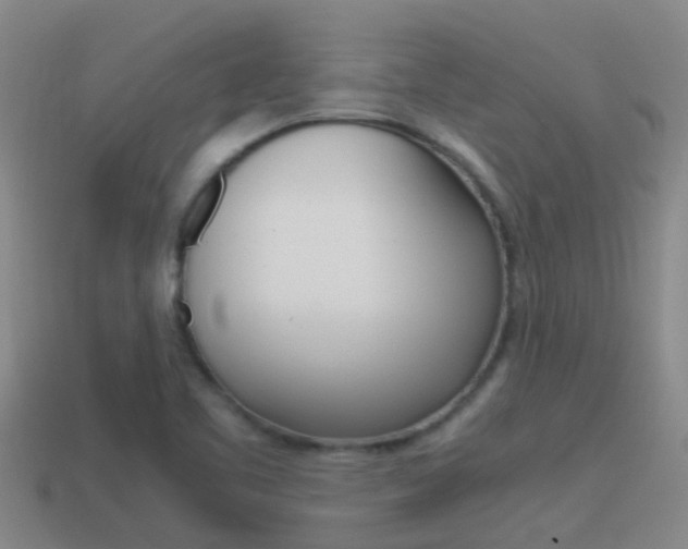 X0000115501461200911061012