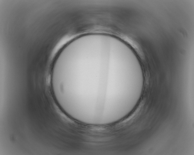 X0000115501462200911061012