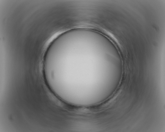 X0000115501463200911061012