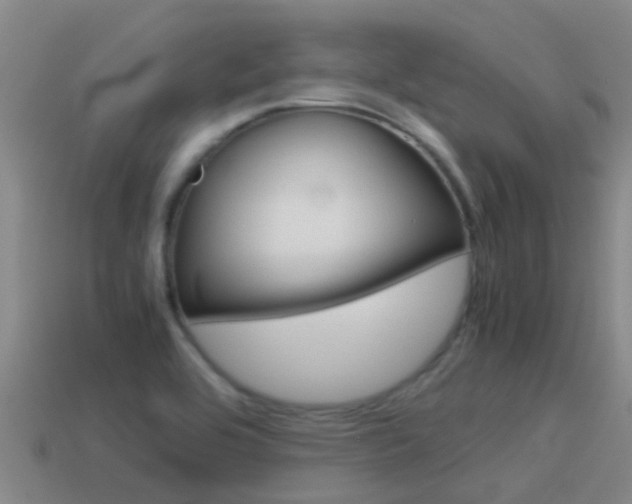 X0000115501464200911061012