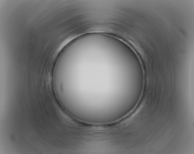 X0000115501465200911061012