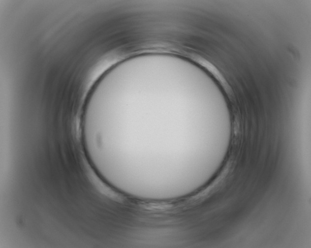 X0000115501466200911061012