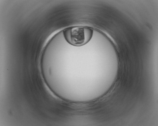 X0000115501468200911061012