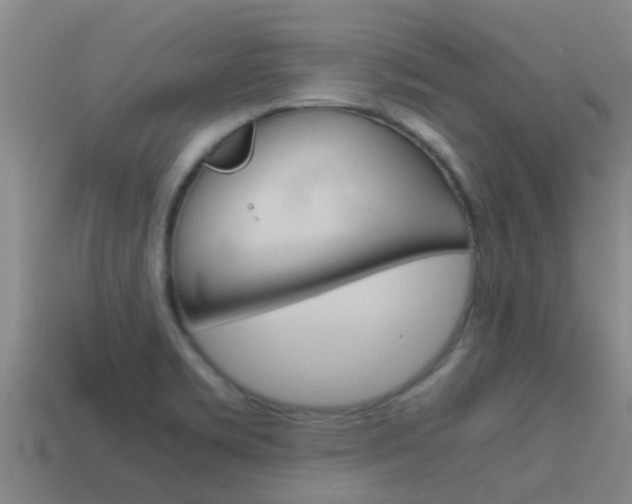 X0000115501469200911061012