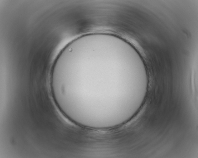 X0000115501470200911061012