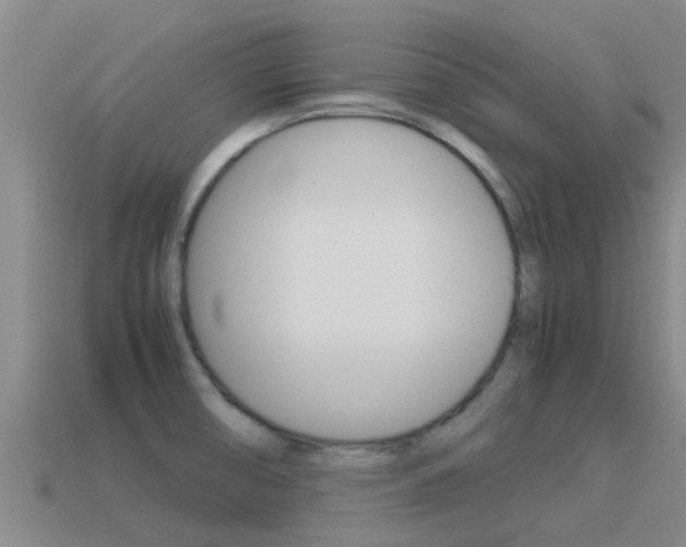 X0000115501474200911061012